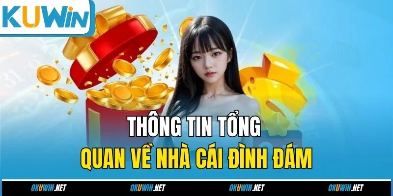 Thông tin tổng quan về nhà cái đình đám